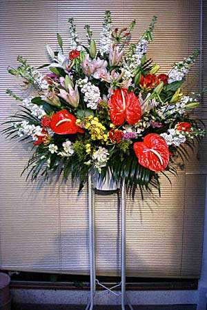 �t�����[�M�t�g