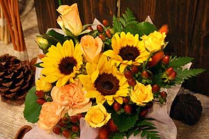 �t�����[�M�t�g
